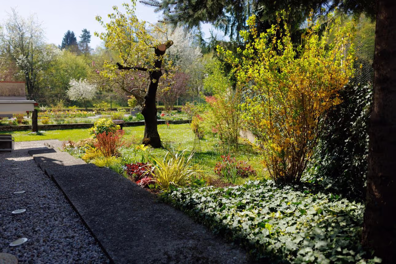 Planning a Layered Garden