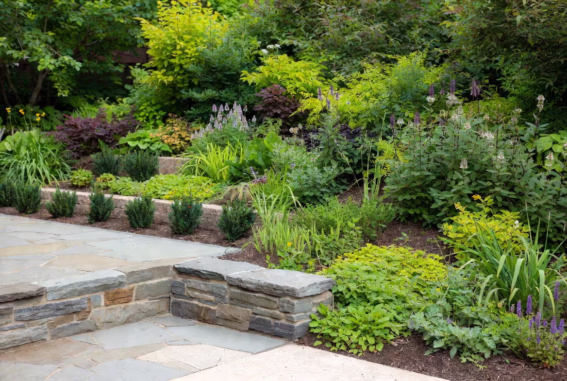 Balancing Living and Structural Elements