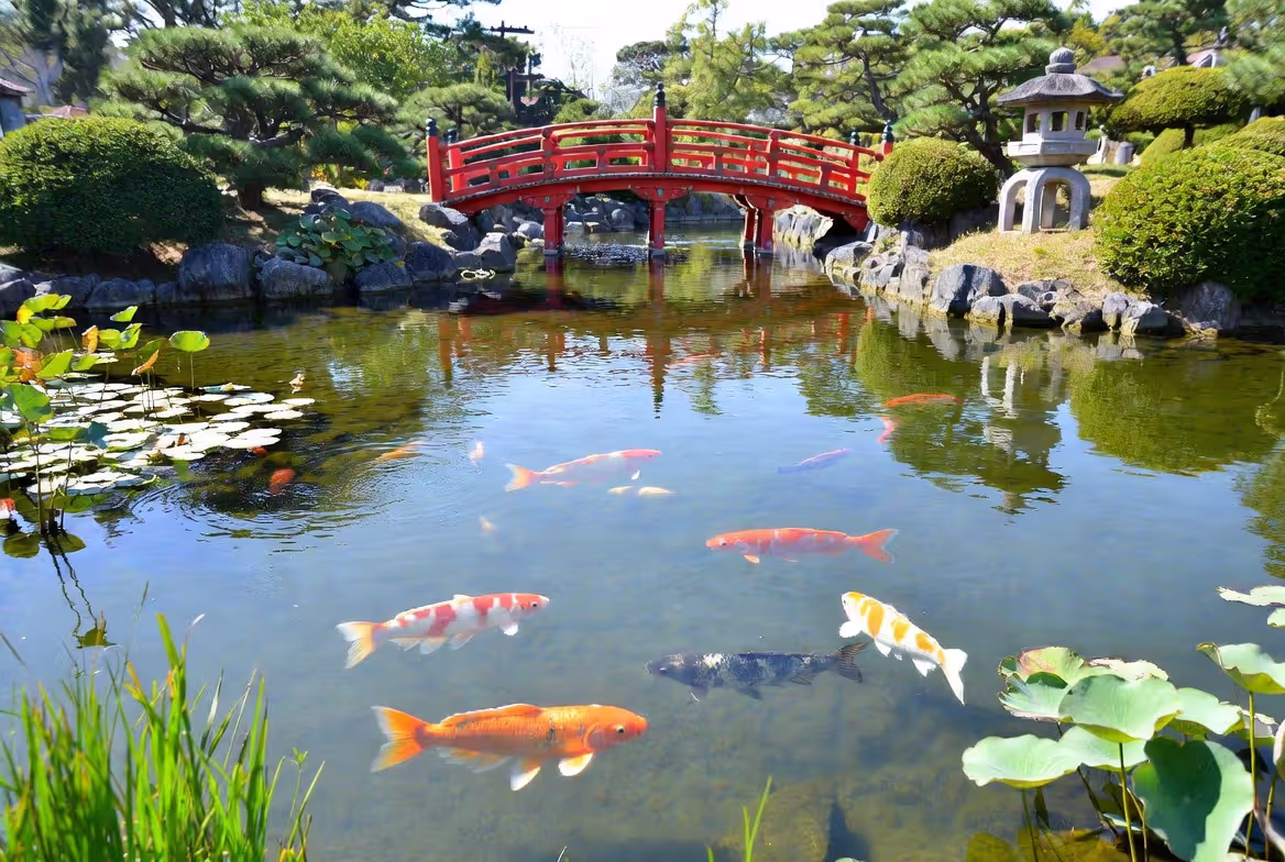 Living Water and Koi