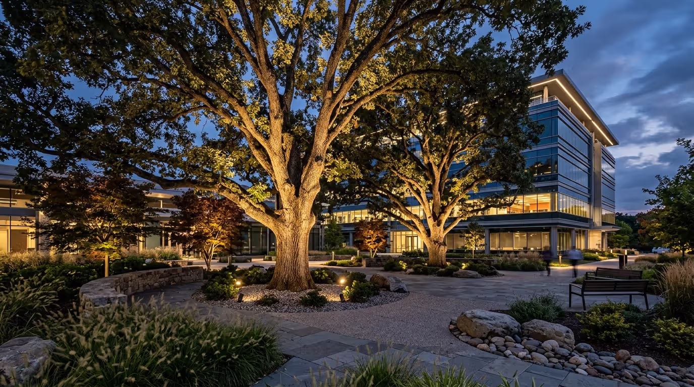 Trees Become Focal Points