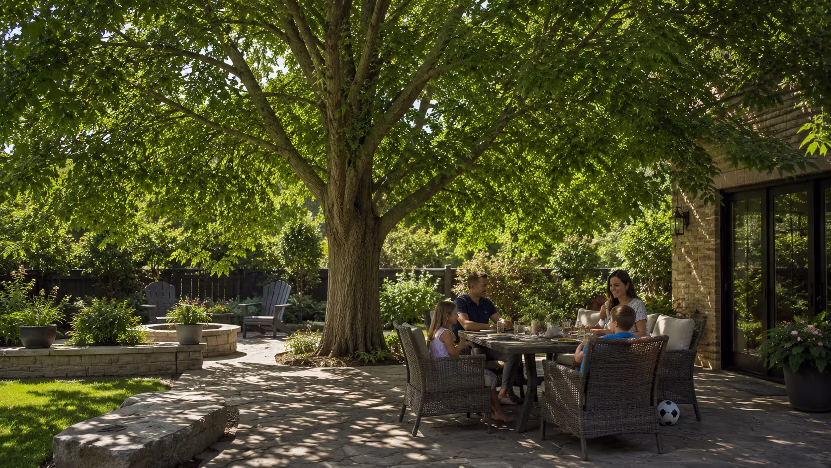 Perfect Shade Tree